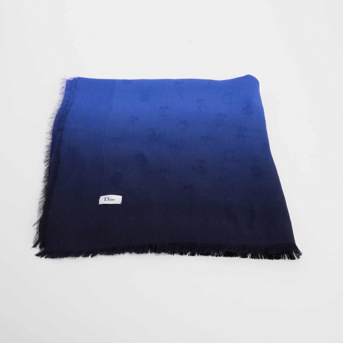 Dior Blue Ombre Silk Motif Fringed Shawl